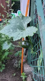 20210808_202209.webp 20210808_202209.webp