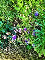 IMG_20210727_084236_1 (2).webp