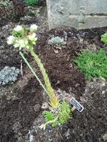IMG_20210807_174836.webp