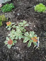 IMG_20210807_174842.webp