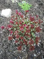 IMG_20210807_175122.webp