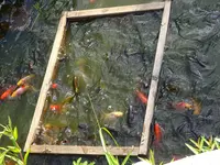 DSC01989.webp