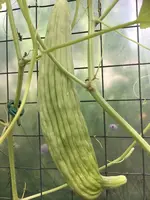 4268D8C5-90FD-466F-9094-B0DDBC1B71F4.webp