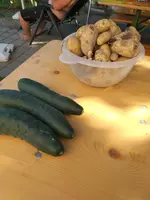 20210810_174522.webp