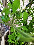 IMG_20210810_190626.jpg