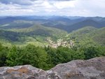 Der Pfälzerwald, meine Heimat.jpg