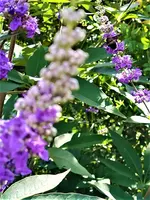 IMG_20210811_113801.webp