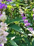 IMG_20210811_113804.jpg