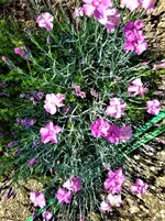 IMG_20210531_112110_1.webp