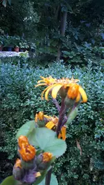 20210813_072122.jpg