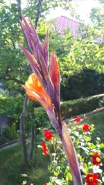 20210812_174338.webp