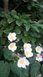 20210813_072108.webp