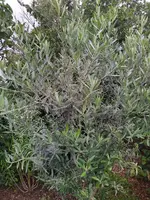 IMG_20210724_201827_2.webp