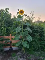 20210814_202533.webp
