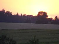 DSC01996.JPG