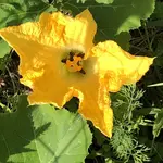 IMG_9835.JPG