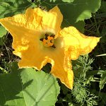 IMG_9835.JPG