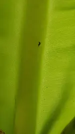 20210815_165910.webp