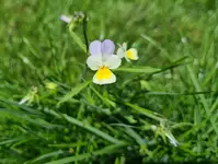 20210816_030358.jpg 20210816_030358.jpg