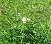 20210816_030215.jpg 20210816_030215.jpg