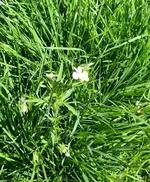 20210816_025950.jpg 20210816_025950.jpg