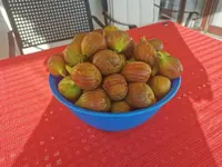 IMG_20210816_080928.webp