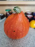 IMG_20210816_175149.jpg