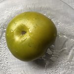 IMG_9927.JPG