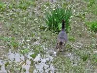 IMG_3098vv (2).webp