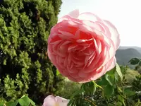 IMG_20210815_184800.webp