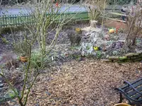SDC11641.webp