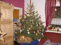 SDC11567.webp