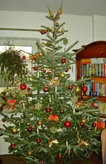 PICT7462.webp