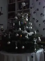 Schlenker Stephan Tanne 015.webp