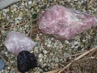 100_1005_800x600.webp