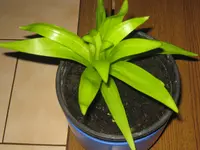 002.webp