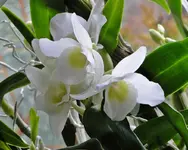 Bild 009.webp