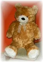 Teddy.webp