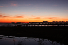 IMG_4336(1).webp