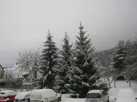 001.webp