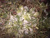 IMG00024-20100101-1556.webp