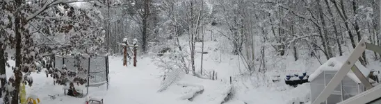 IMGP1071.webp
