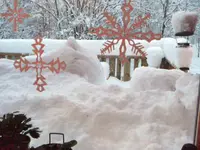 IMGP1094.webp