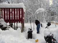 IMGP1130.webp