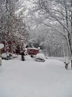 IMGP1133.webp