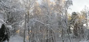 IMGP1195.webp
