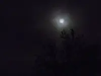 IMGP1295.webp