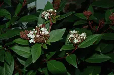 DSC_6482.webp