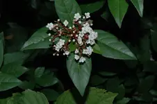 DSC_6484.webp