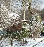 winterlich kommen wir daher_klein.webp